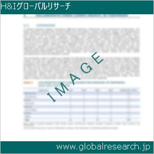グローバルリサーチ調査レポートのイメージ